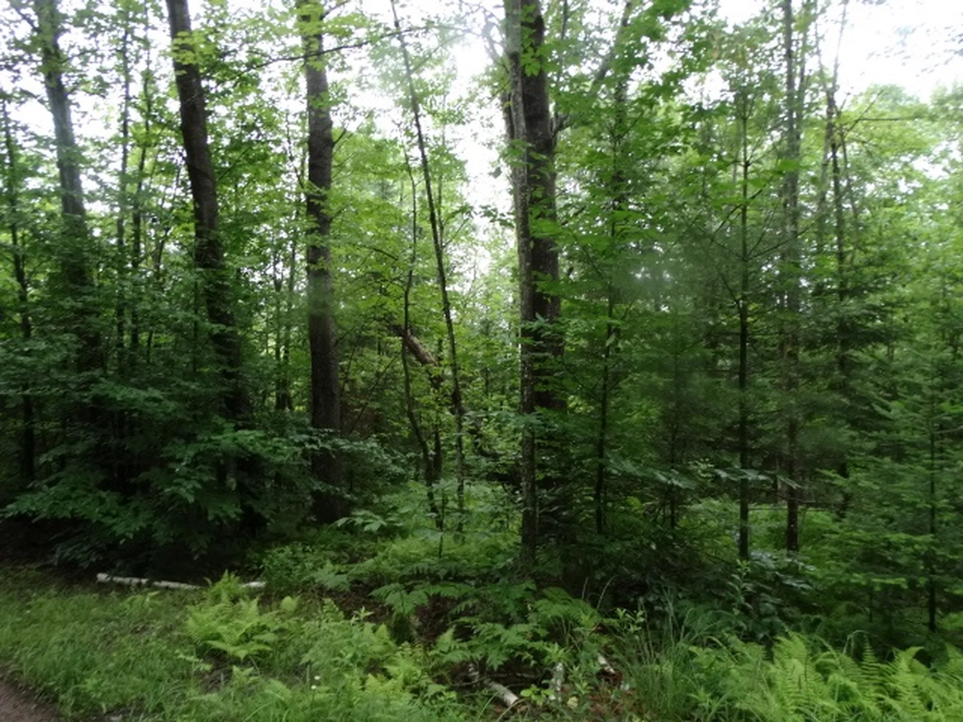 0 Bousquet Road Lowell VT 05847