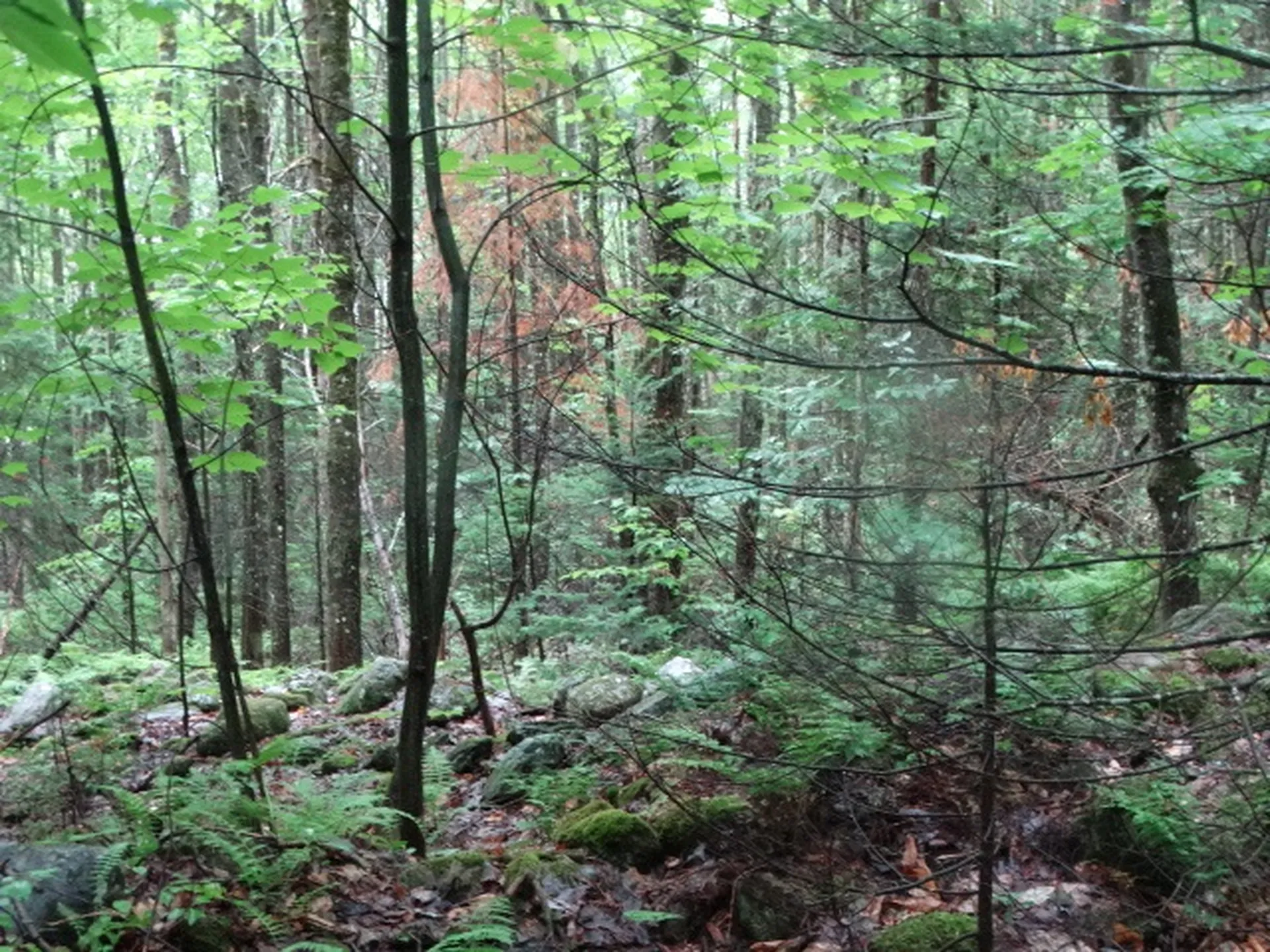 0 Bousquet Road Lowell VT 05847