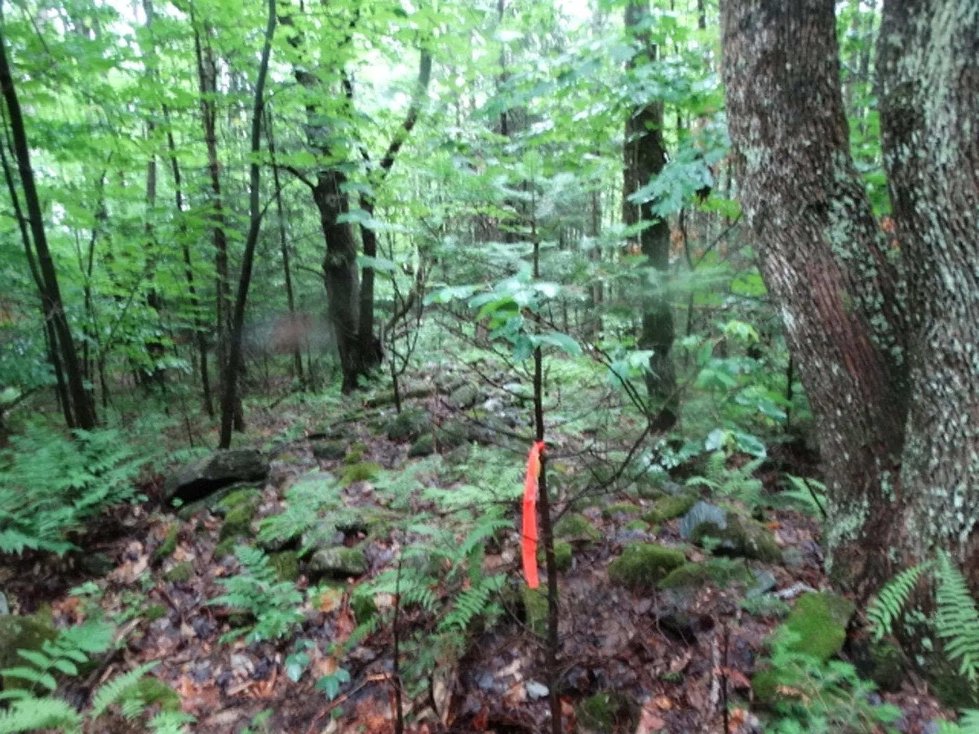 0 Bousquet Road Lowell VT 05847