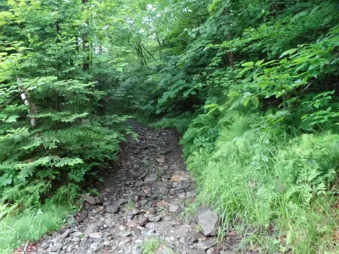 0 Bousquet Road Lowell VT 05847
