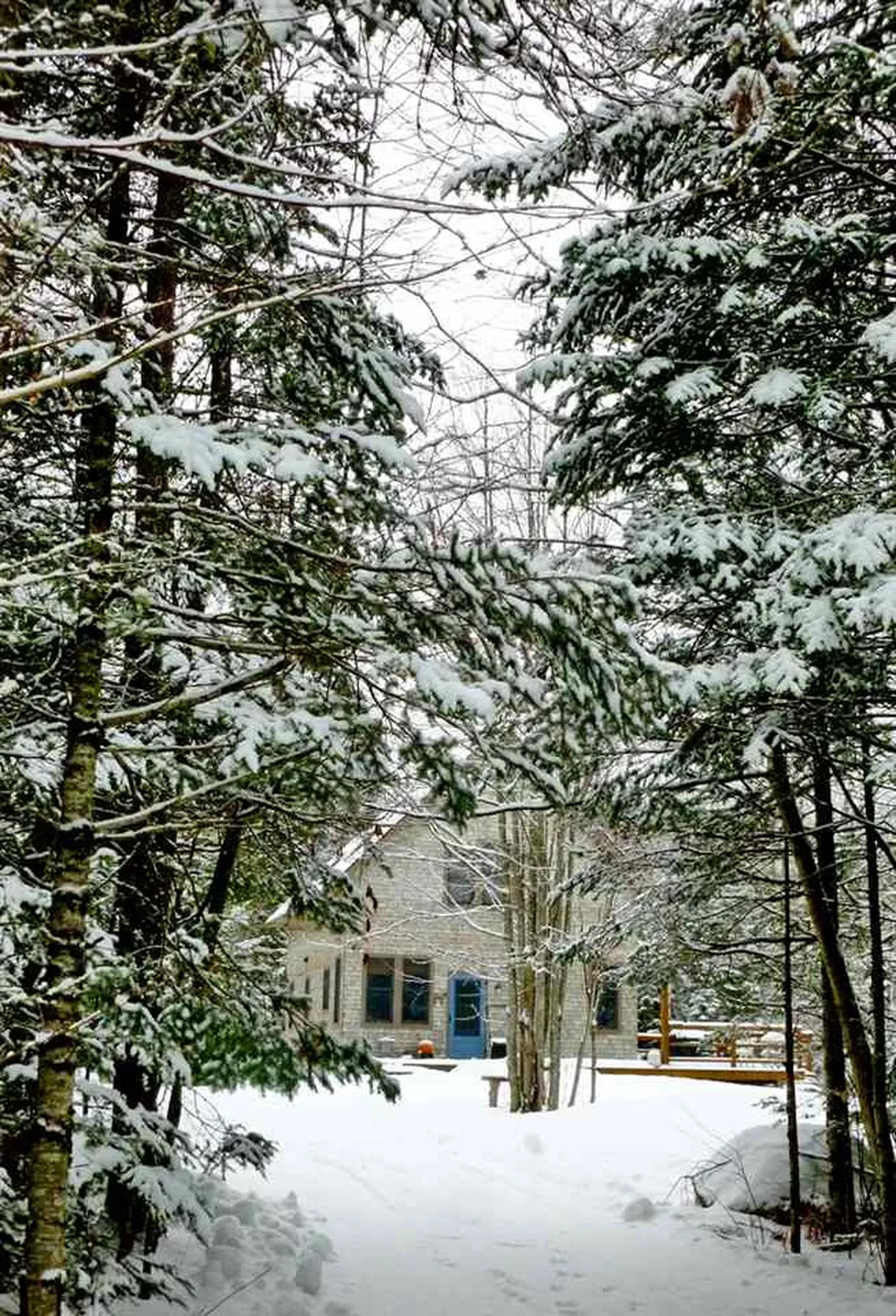 438 Toad Hill Road Franconia NH 03580