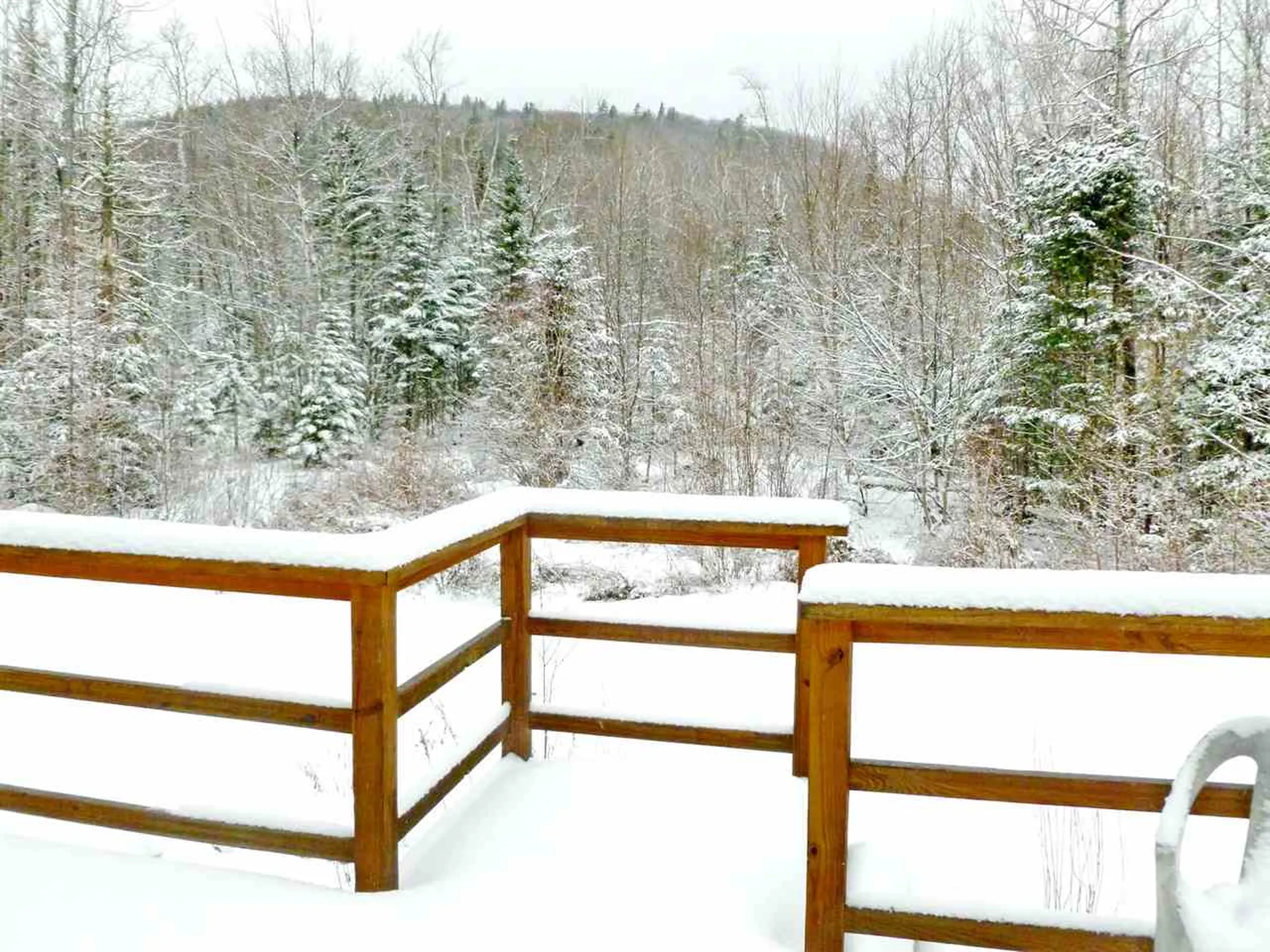 438 Toad Hill Road Franconia NH 03580