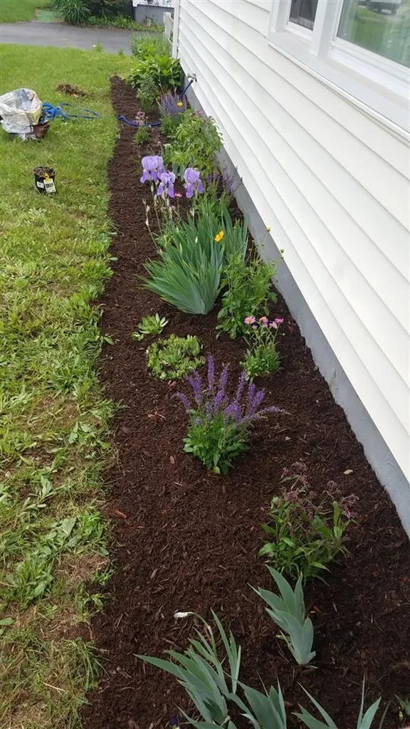 43 South Summit Street Essex VT 05452