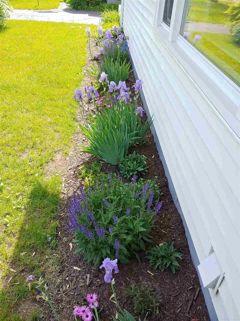 43 South Summit Street Essex VT 05452