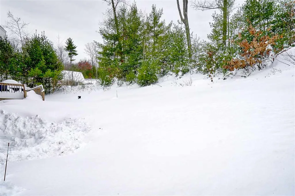 1 Iris Lane Londonderry NH 03053