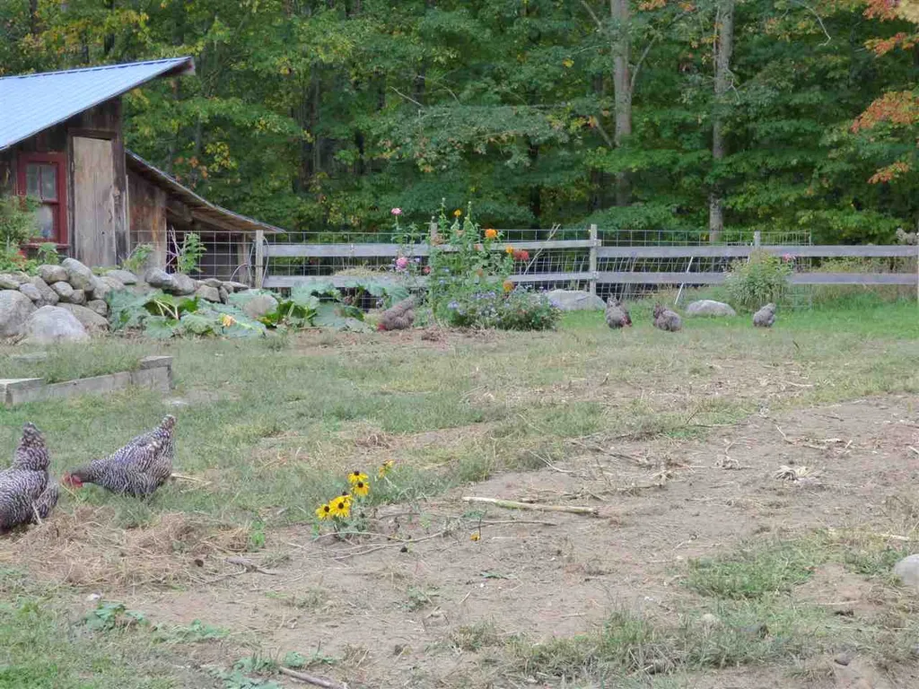 44 Stoddard Road Wolfeboro NH 03894