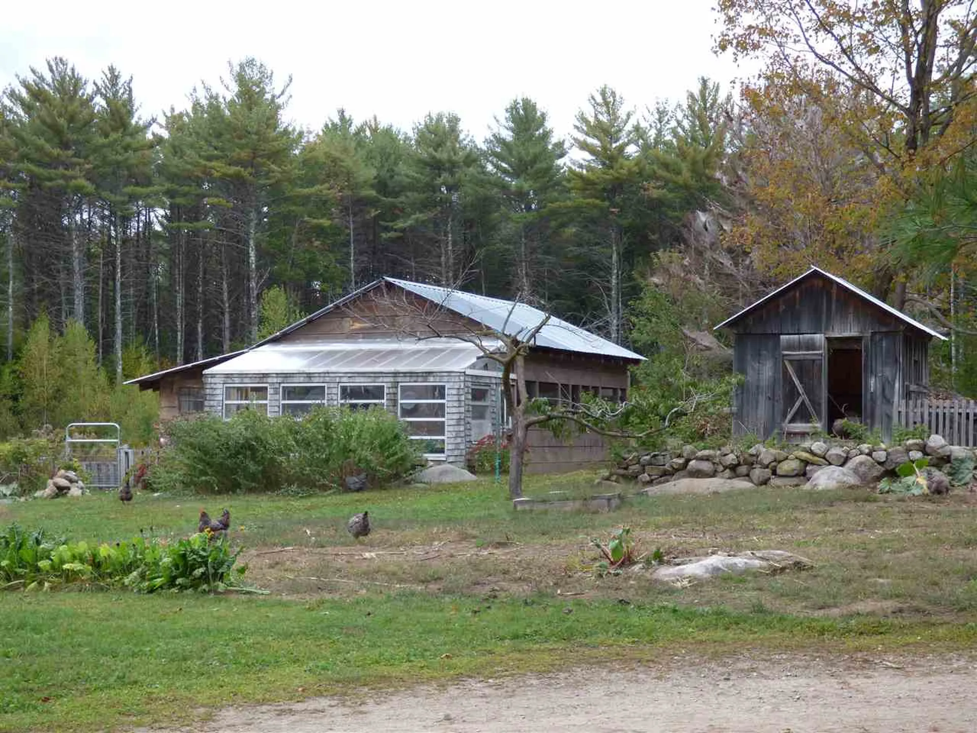 44 Stoddard Road Wolfeboro NH 03894