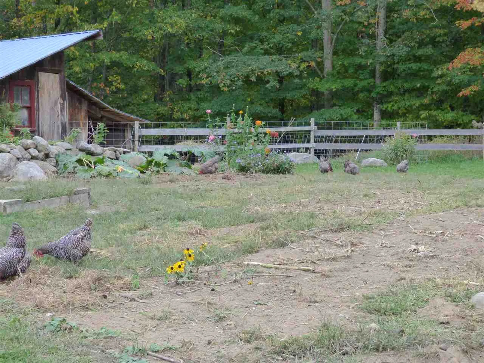 44 Stoddard Road Wolfeboro NH 03894