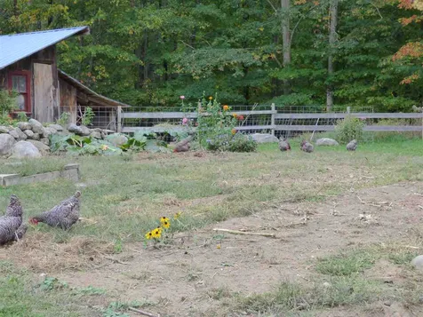 44 Stoddard Road Wolfeboro NH 03894