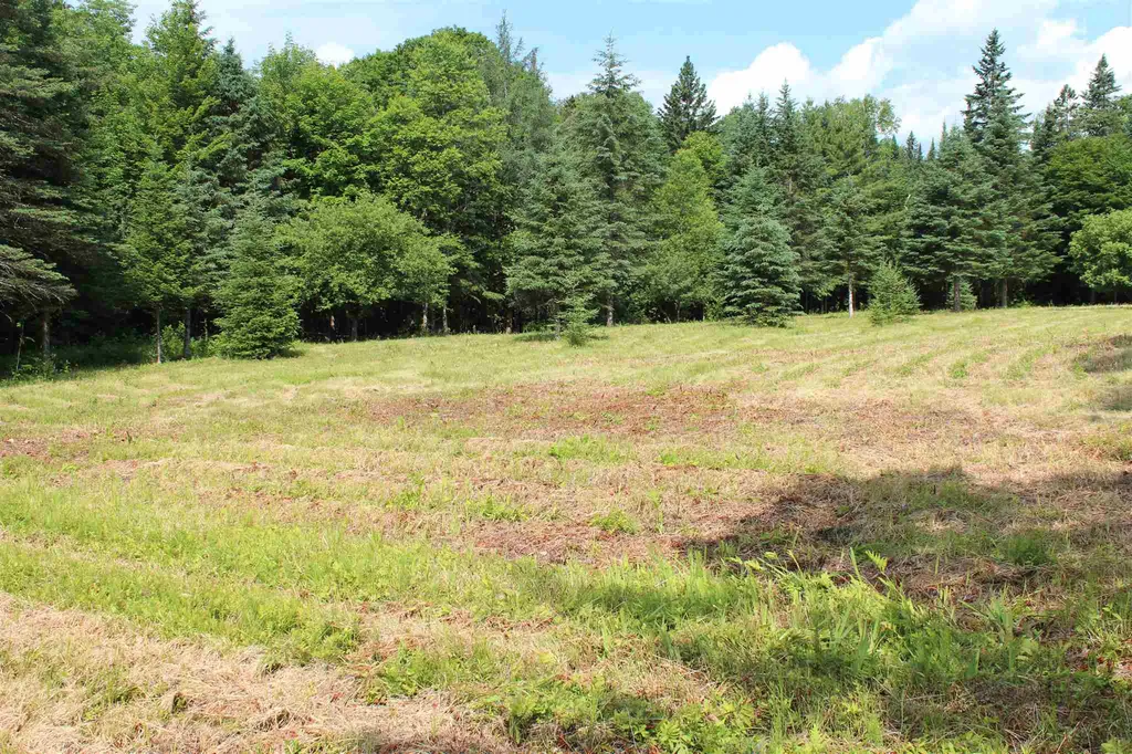 1400 E. Peacham Road Peacham VT 05862