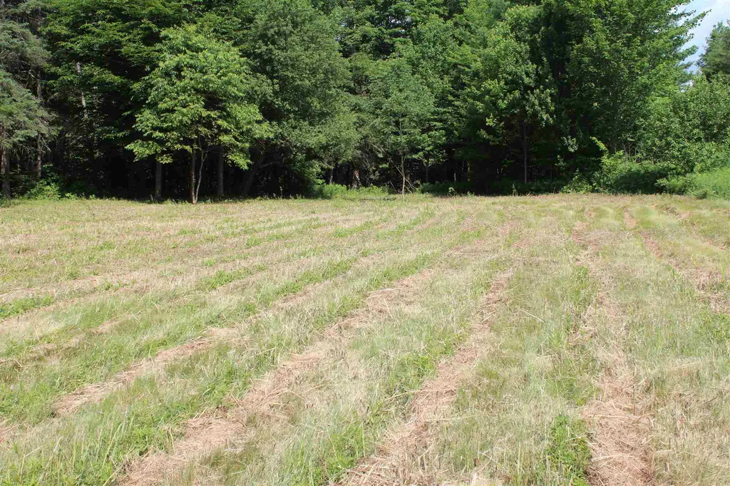 1400 E. Peacham Road Peacham VT 05862