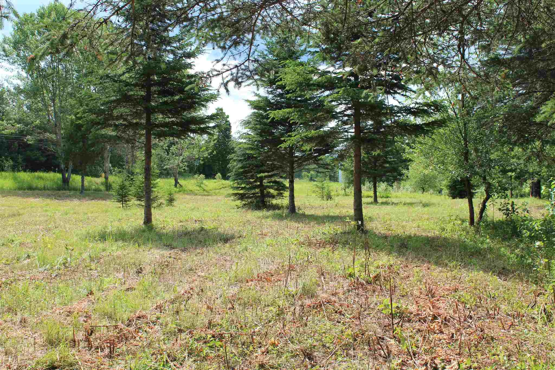 1400 E. Peacham Road Peacham VT 05862