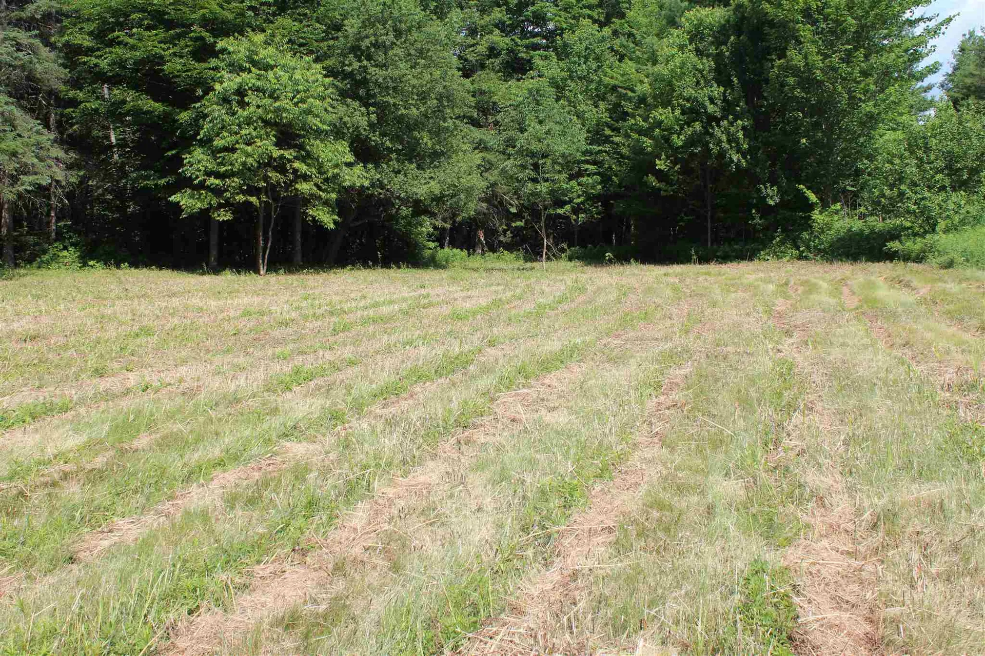 1400 E. Peacham Road Peacham VT 05862