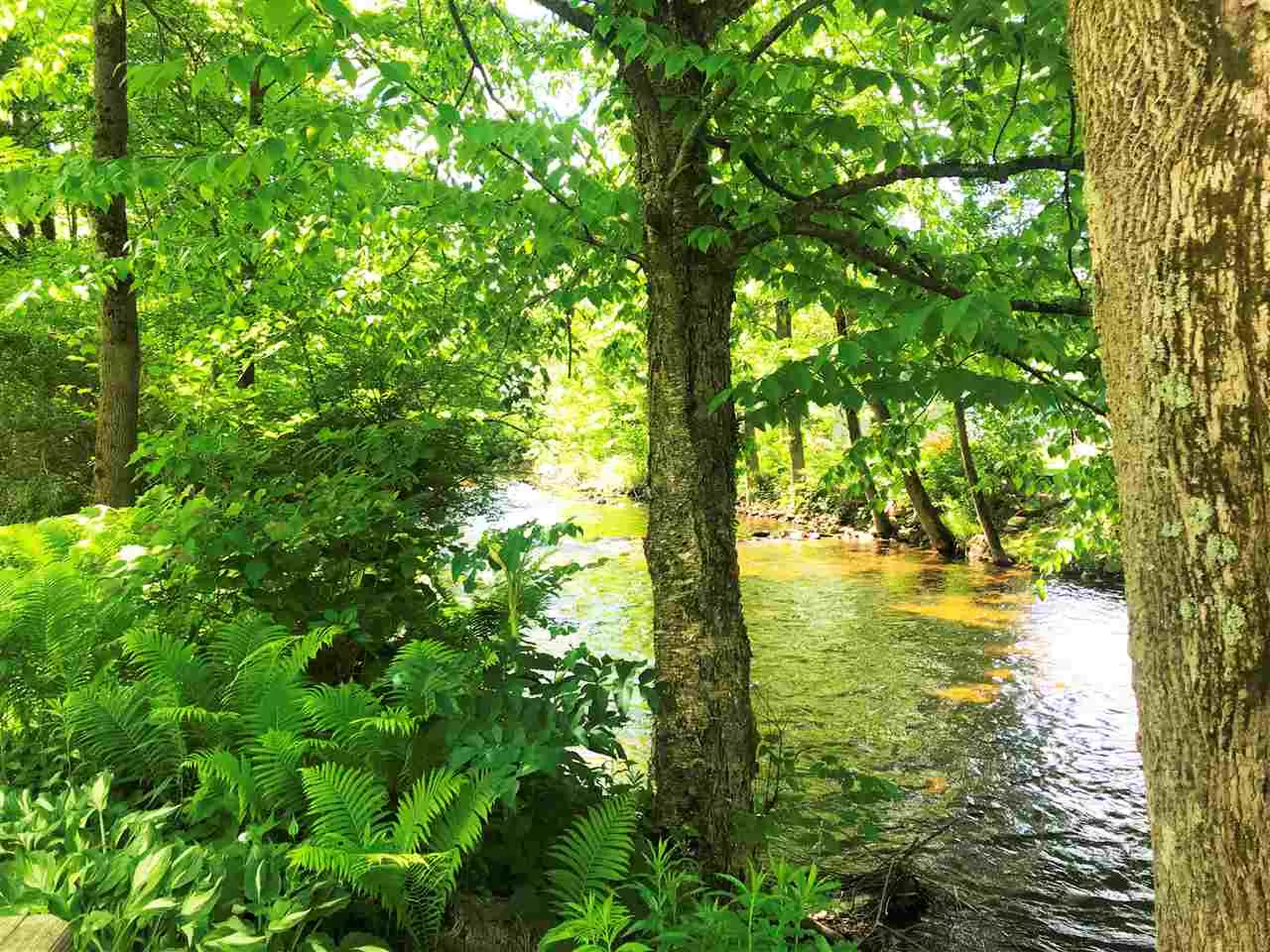 130 Old Mill Road Arlington VT 05250