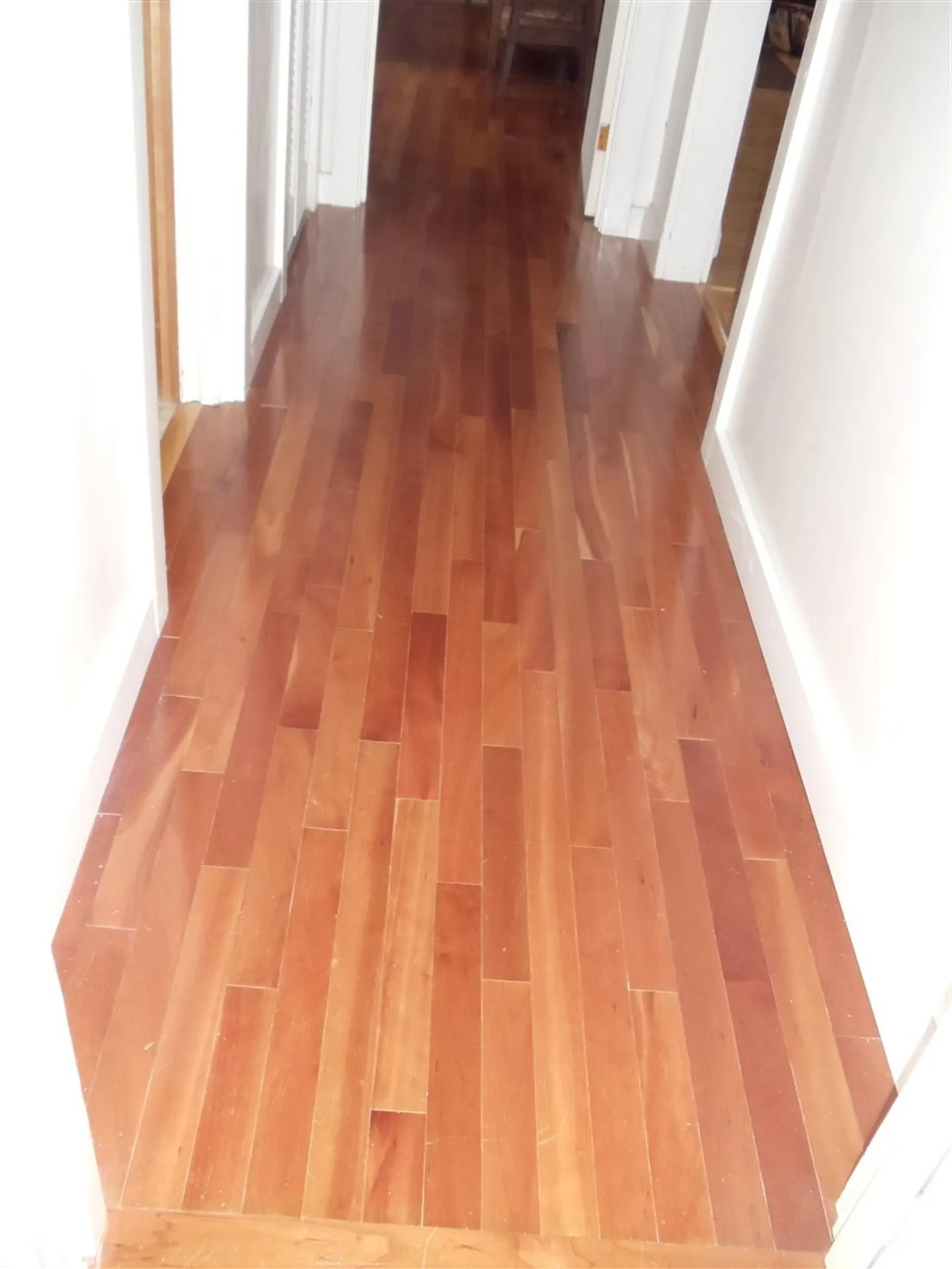 37 Maple Street Randolph VT 05060
