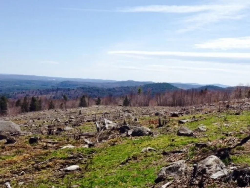 85 Knox Mountain Road Ossipee NH 03864