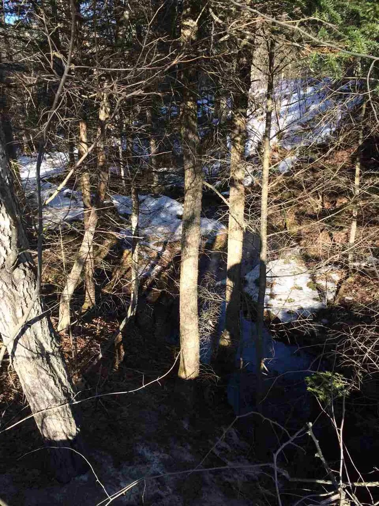 Streeter Pond Road Sugar Hill NH 03586