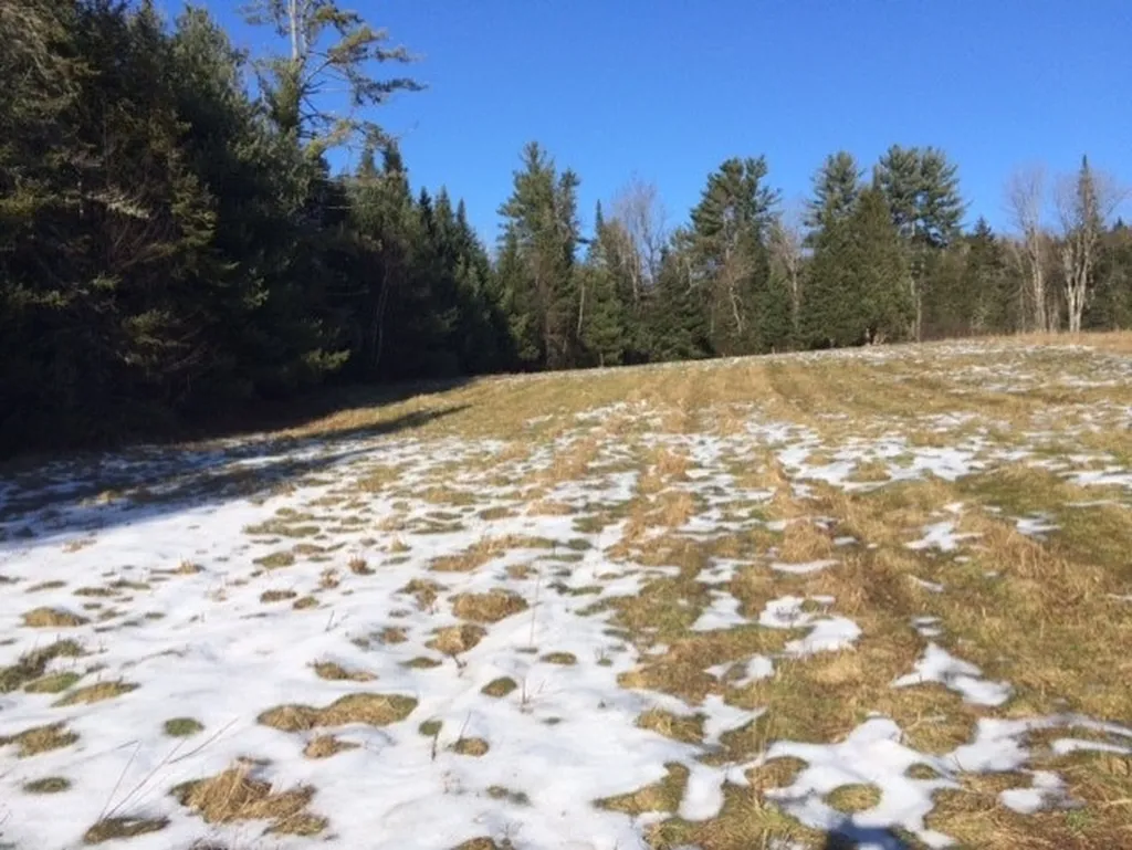Streeter Pond Road Sugar Hill NH 03586