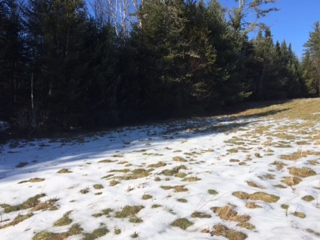 Streeter Pond Road Sugar Hill NH 03586