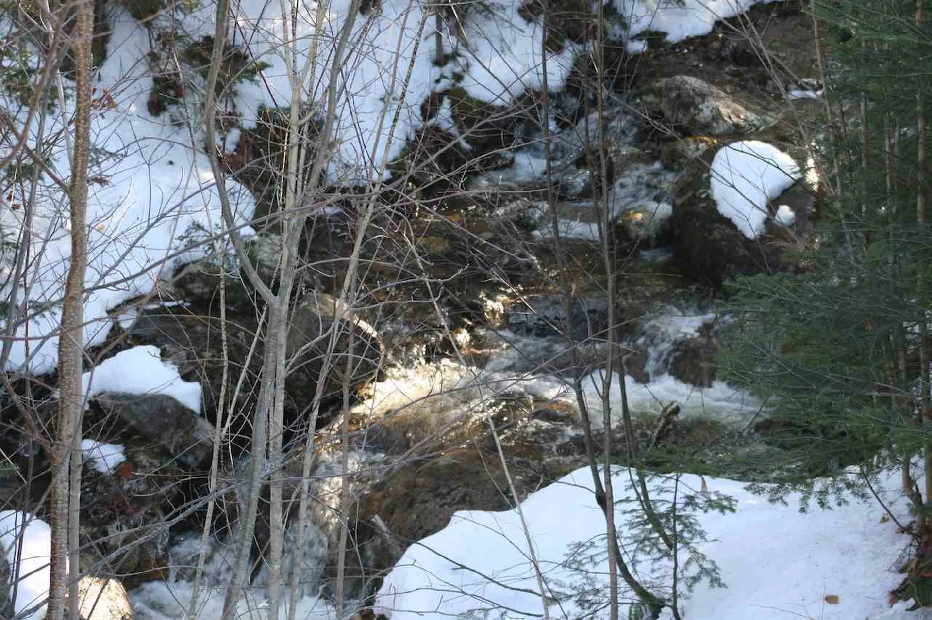 244 Rosebrook Lane Carroll NH 03575