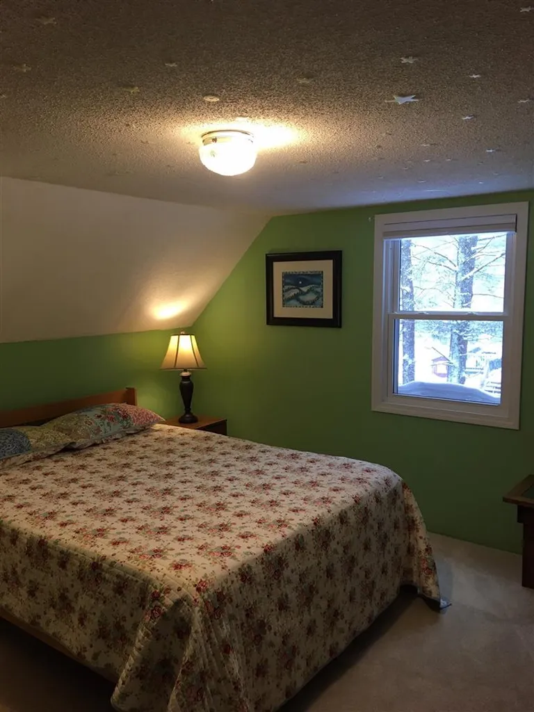 133 Canaan Road Strafford NH 03884