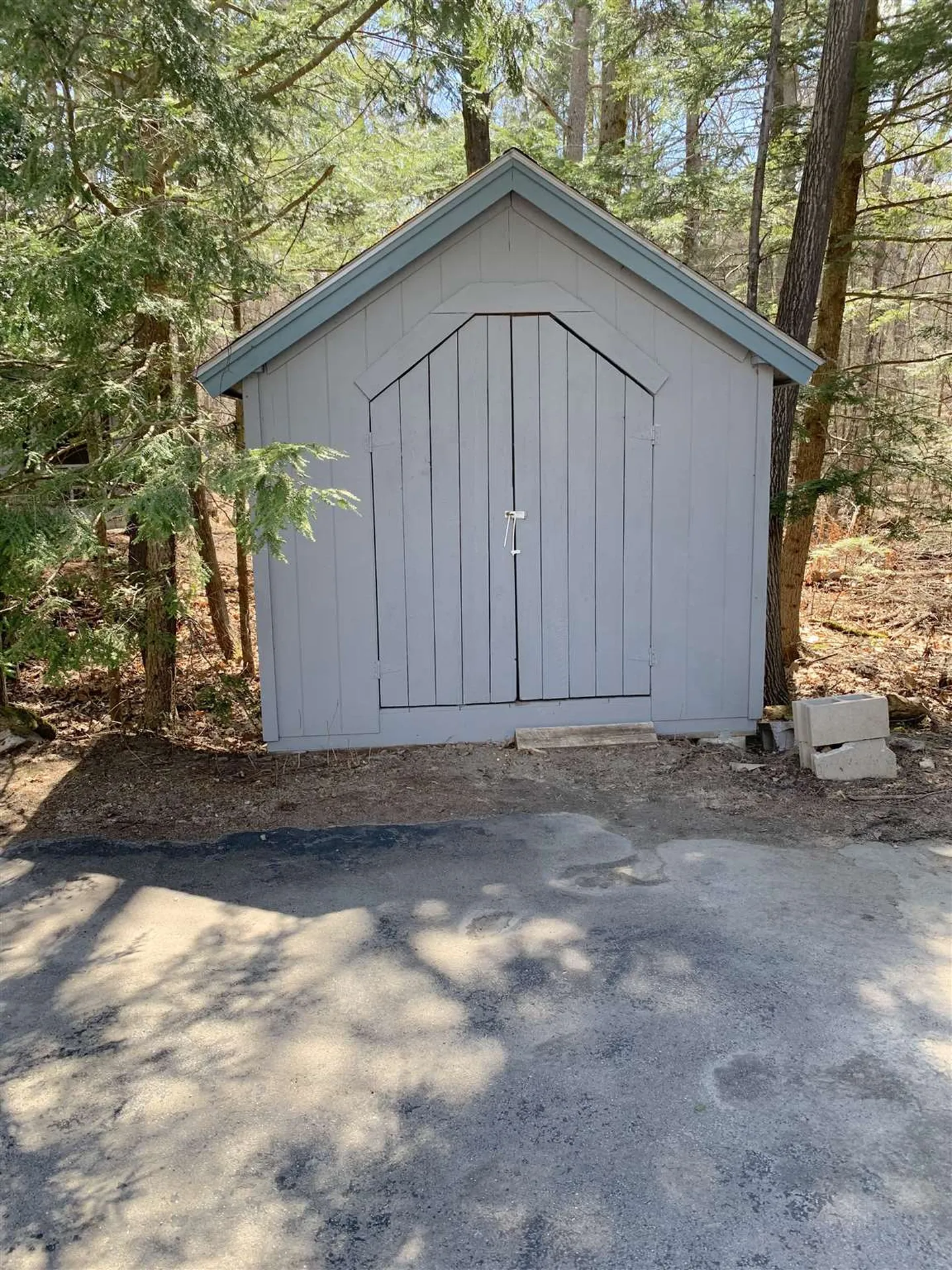 164 Mcmanus Road Wolfeboro NH 03894