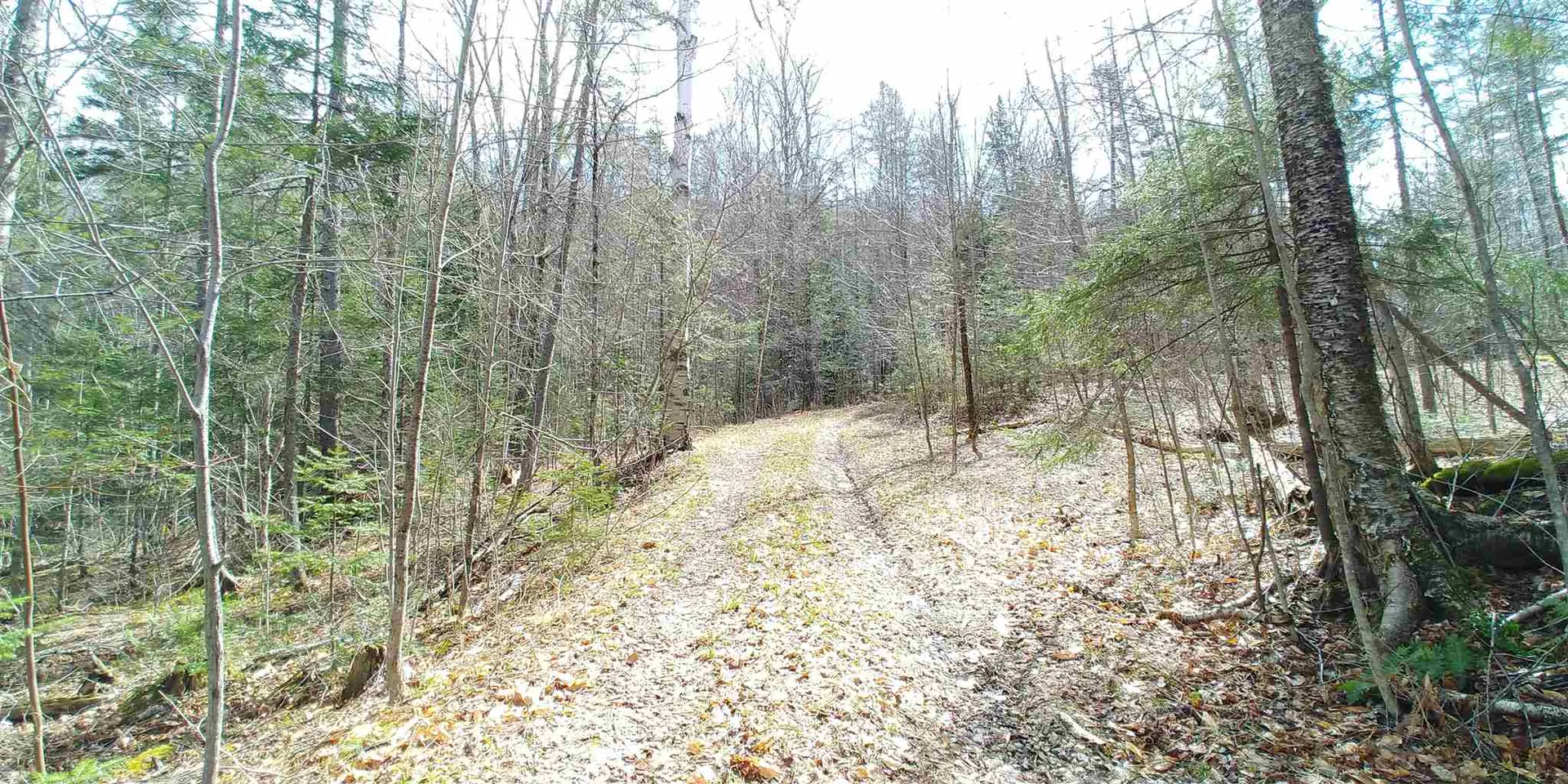 1032 Heath Road Corinth VT 05039