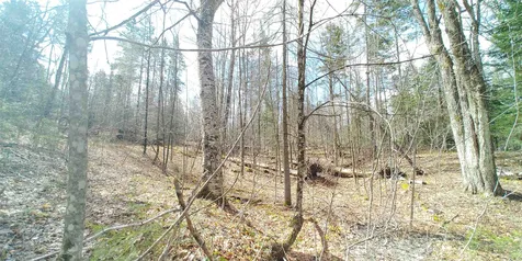 1032 Heath Road Corinth VT 05039