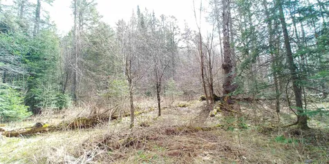 1032 Heath Road Corinth VT 05039