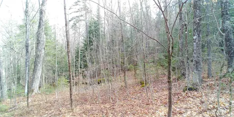 1032 Heath Road Corinth VT 05039