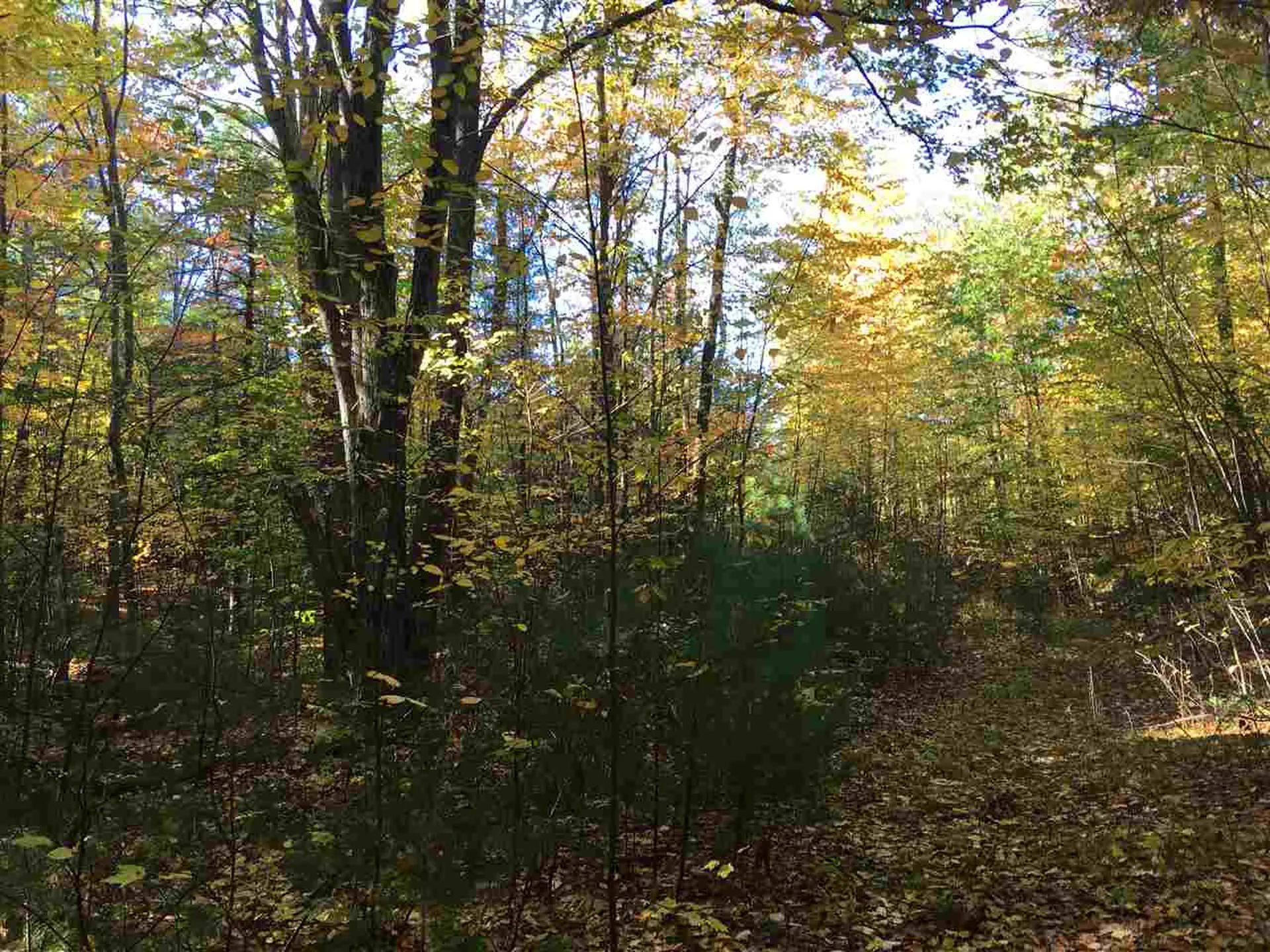 685 N Pembroke Road Pembroke NH 03275