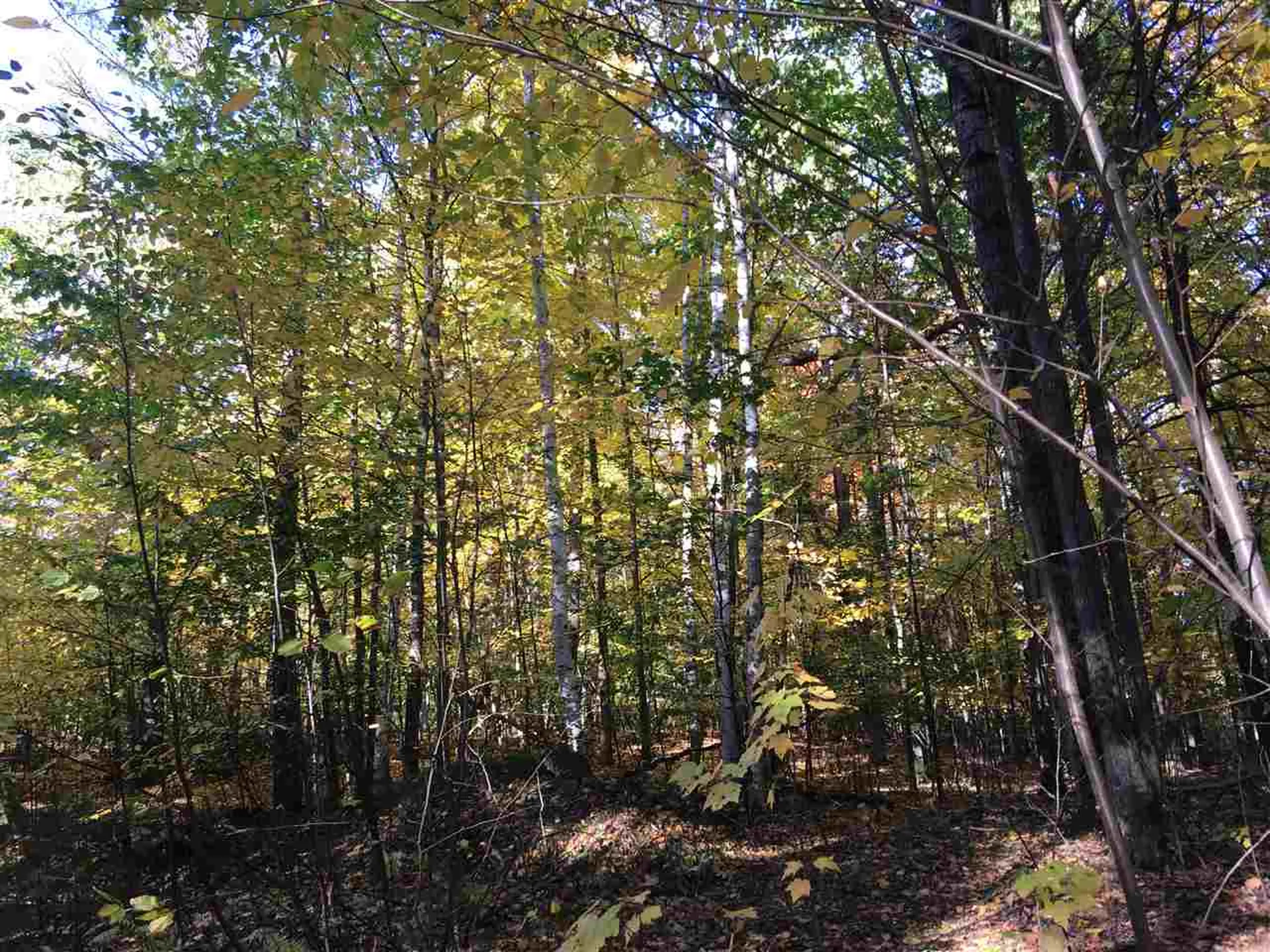 685 N Pembroke Road Pembroke NH 03275