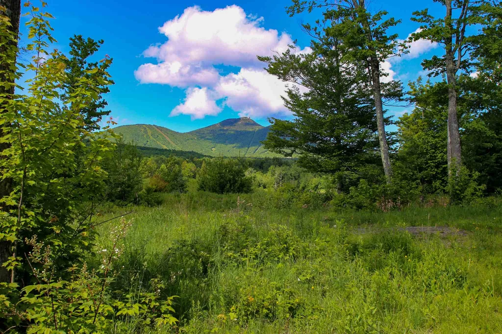 105 Mountain View Drive Jay VT 05859