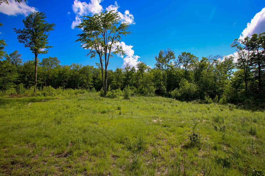 105 Mountain View Drive Jay VT 05859