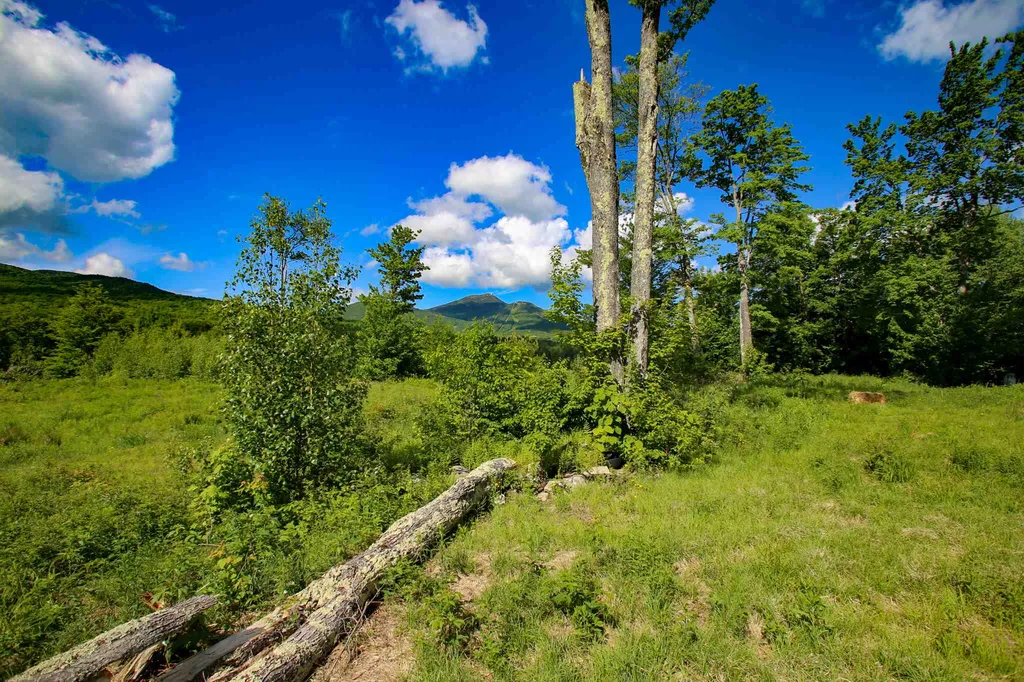 105 Mountain View Drive Jay VT 05859