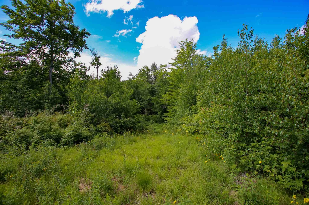 105 Mountain View Drive Jay VT 05859