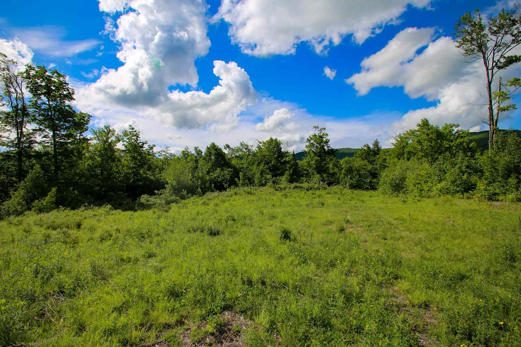 105 Mountain View Drive Jay VT 05859