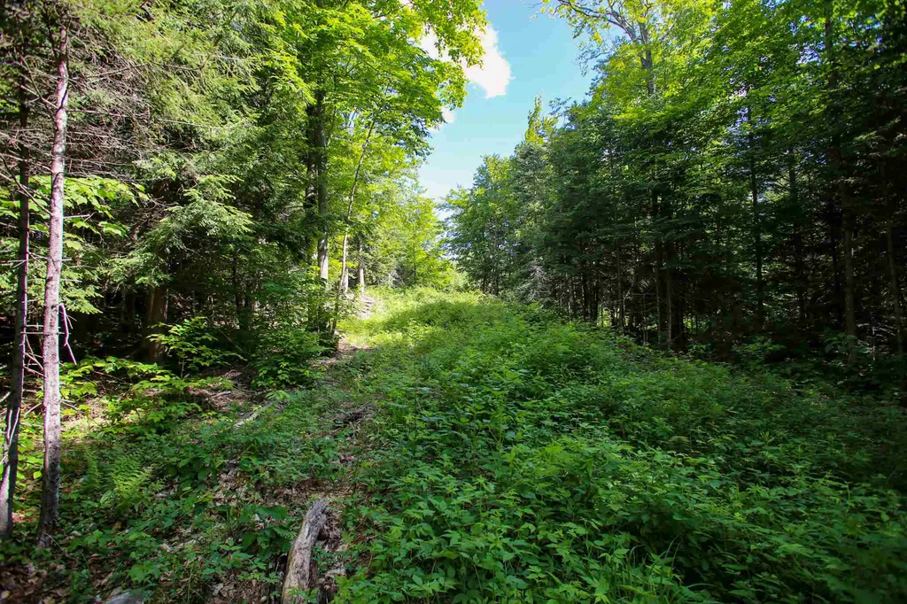 105 Mountain View Drive Jay VT 05859
