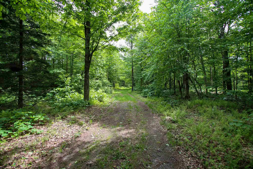 105 Mountain View Drive Jay VT 05859