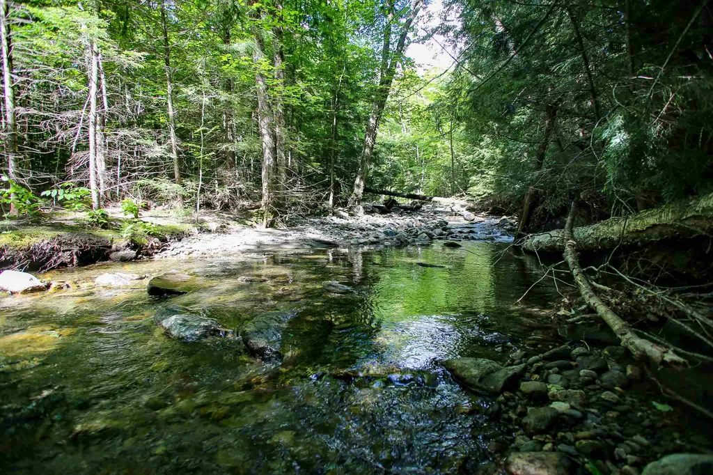 105 Mountain View Drive Jay VT 05859