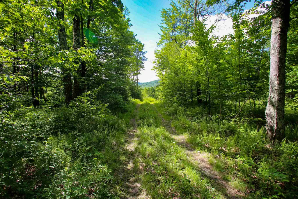 105 Mountain View Drive Jay VT 05859