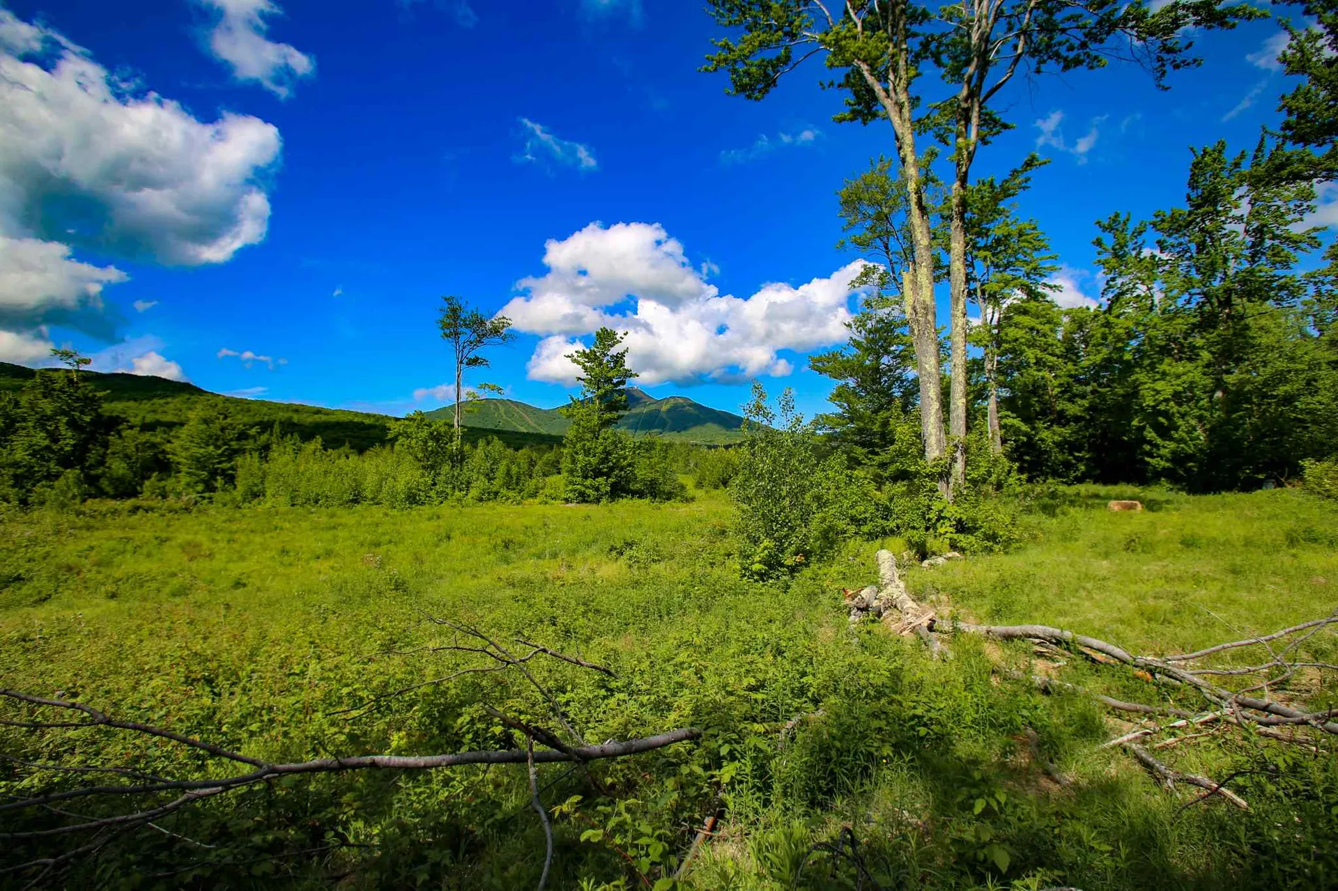 105 Mountain View Drive Jay VT 05859