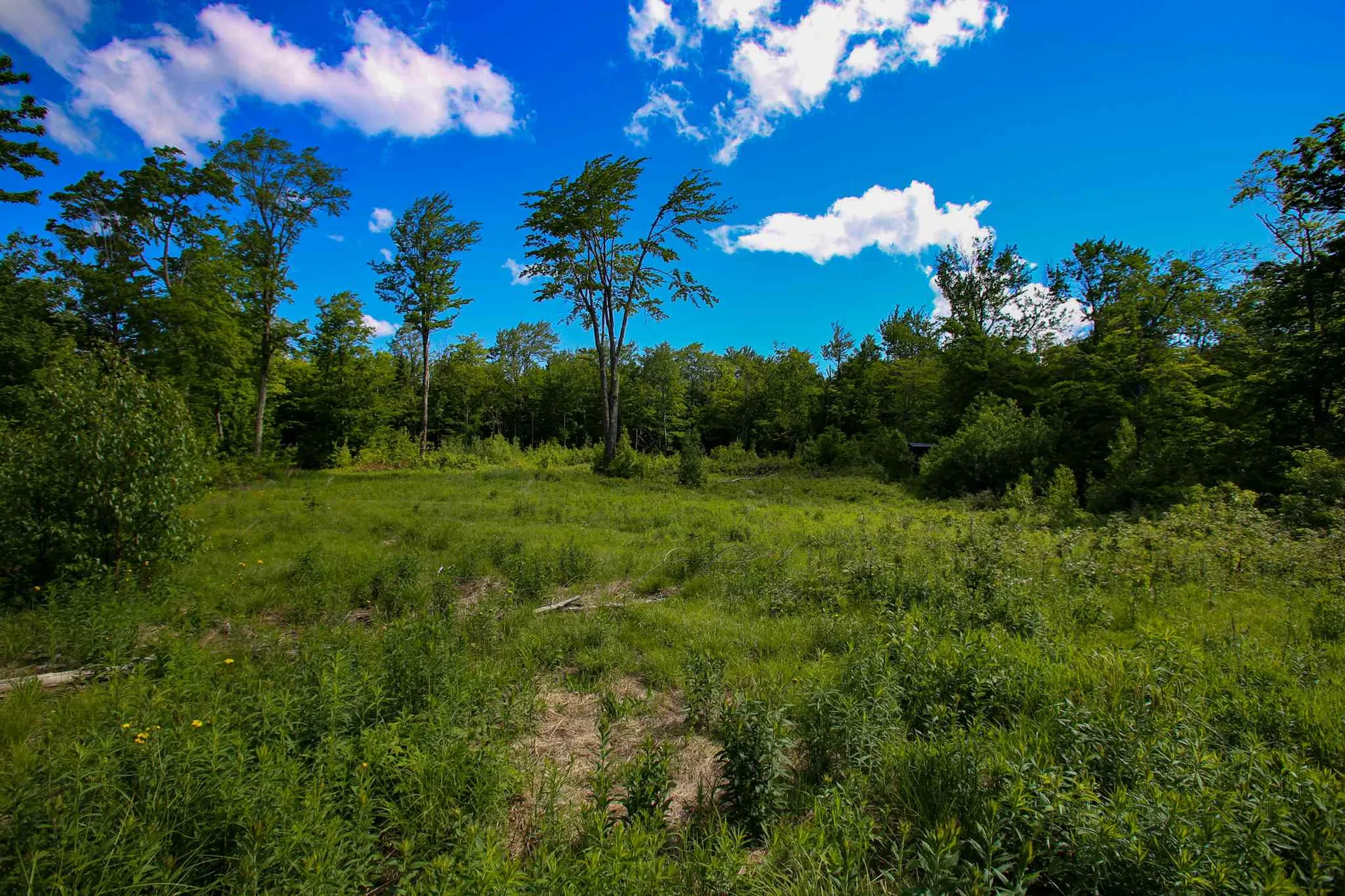 105 Mountain View Drive Jay VT 05859