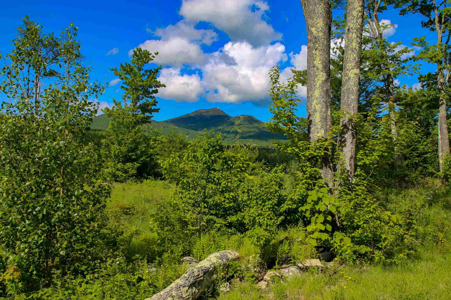 105 Mountain View Drive Jay VT 05859