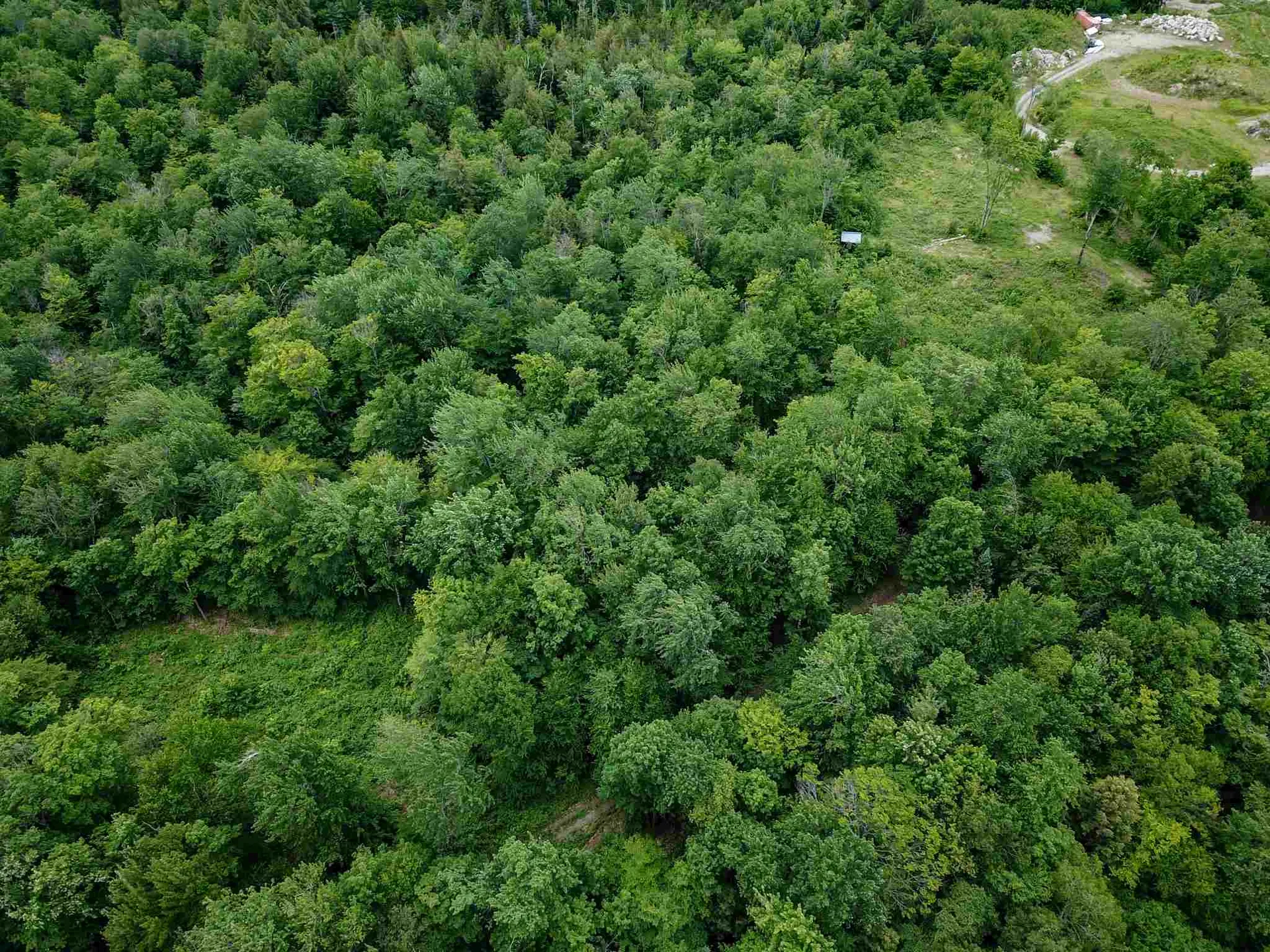 105 Mountain View Drive Jay VT 05859