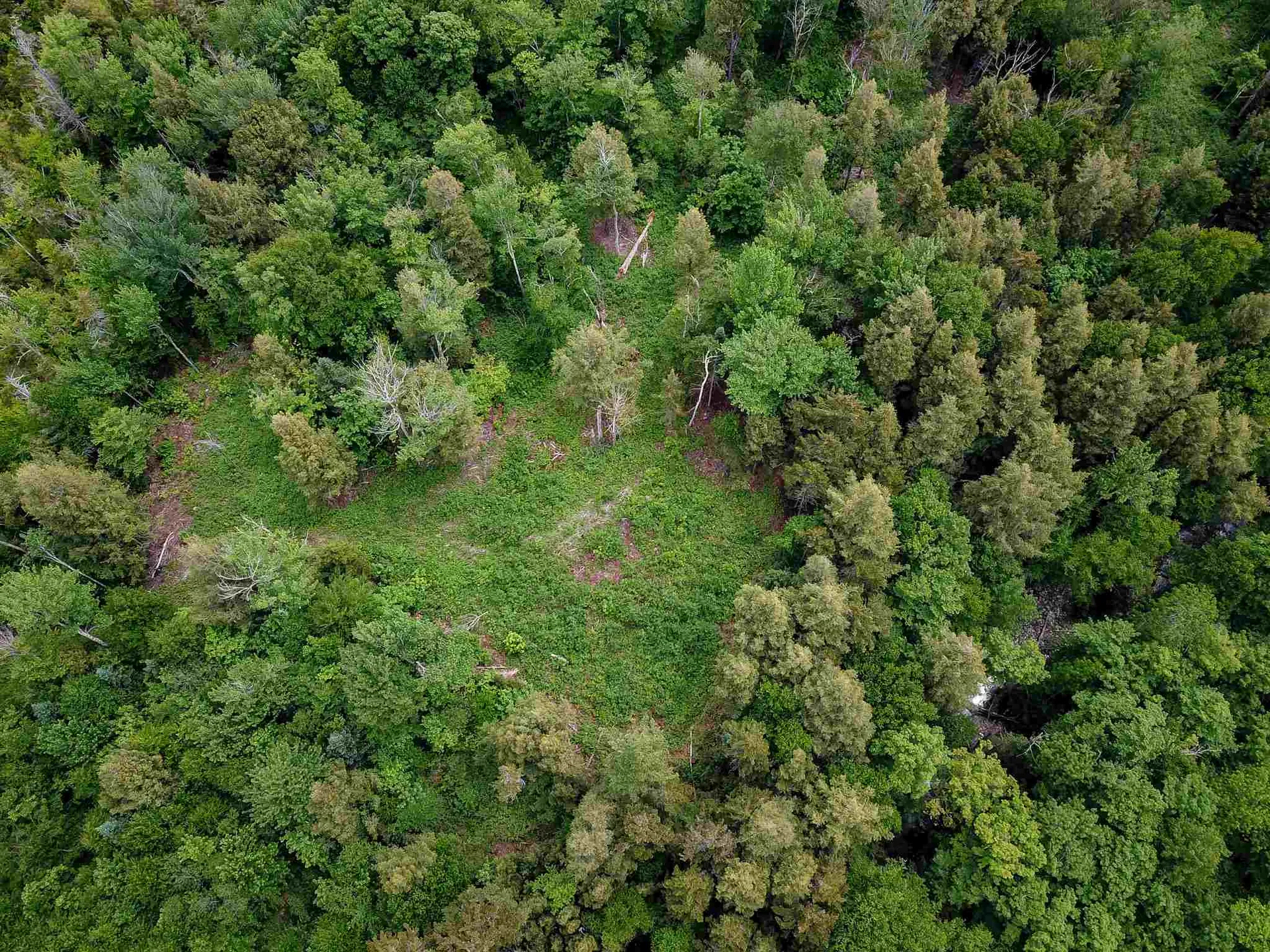 105 Mountain View Drive Jay VT 05859