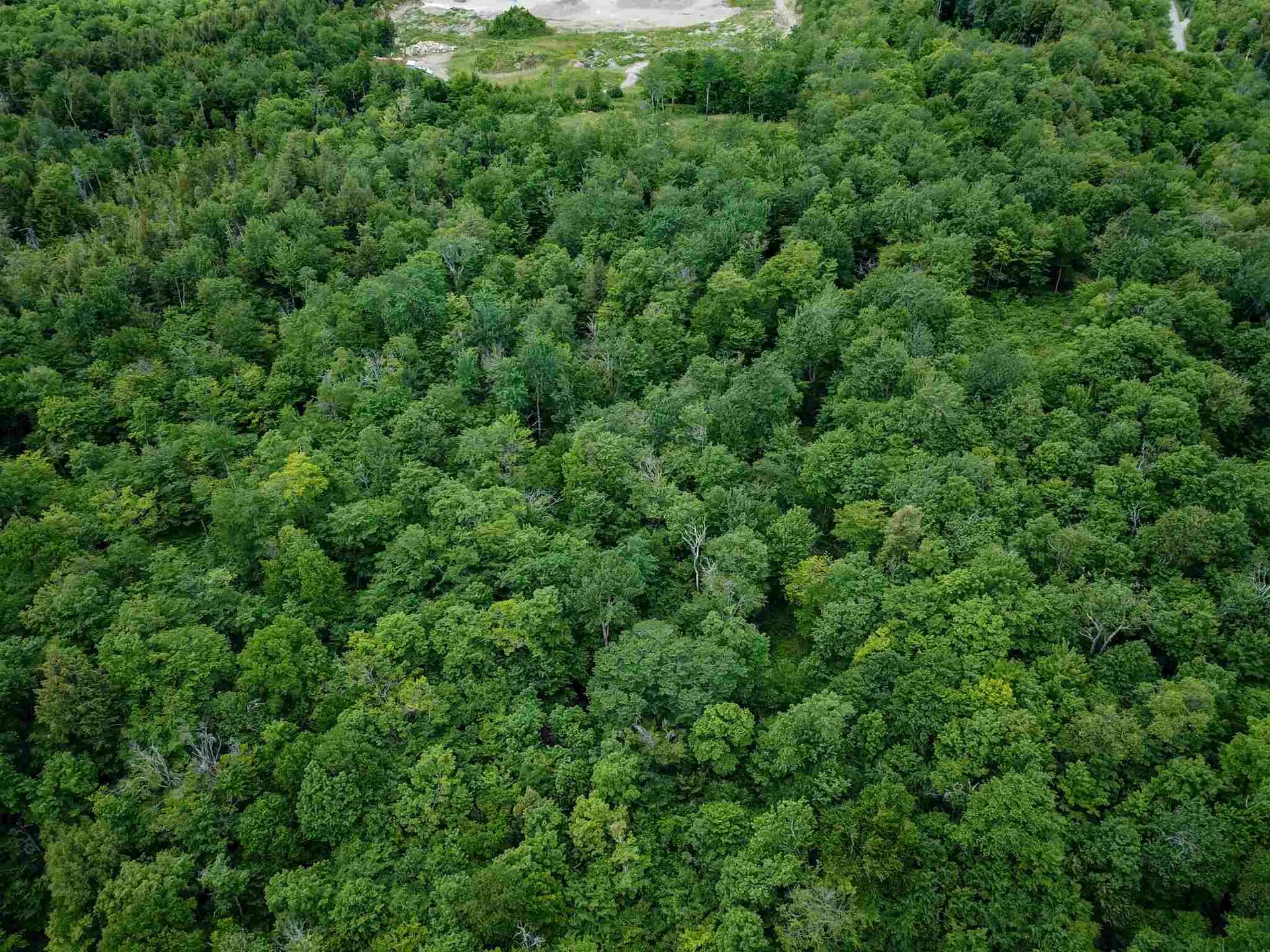 105 Mountain View Drive Jay VT 05859