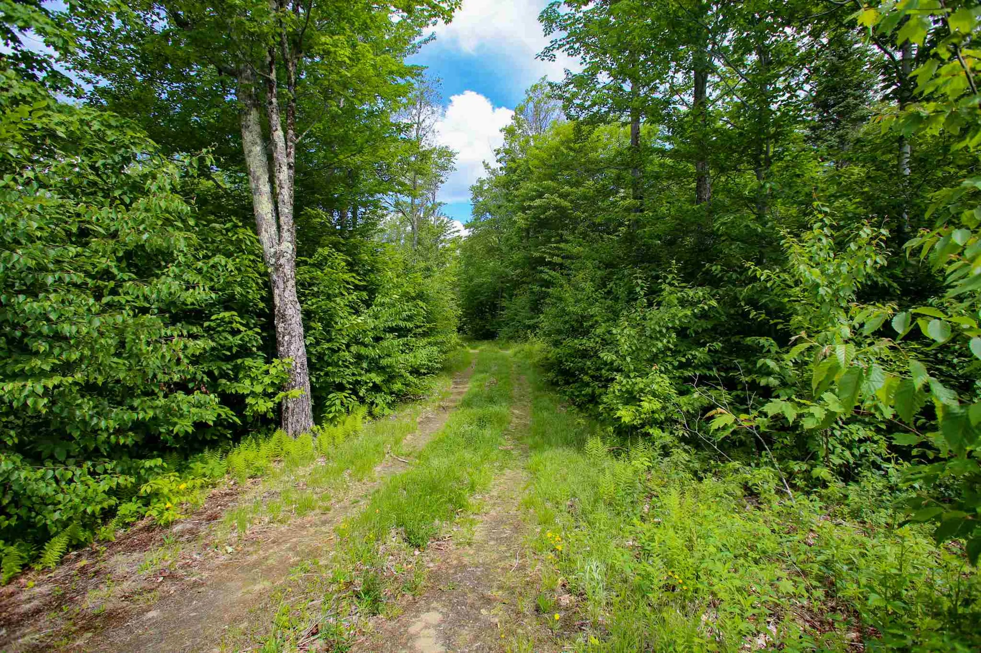 105 Mountain View Drive Jay VT 05859