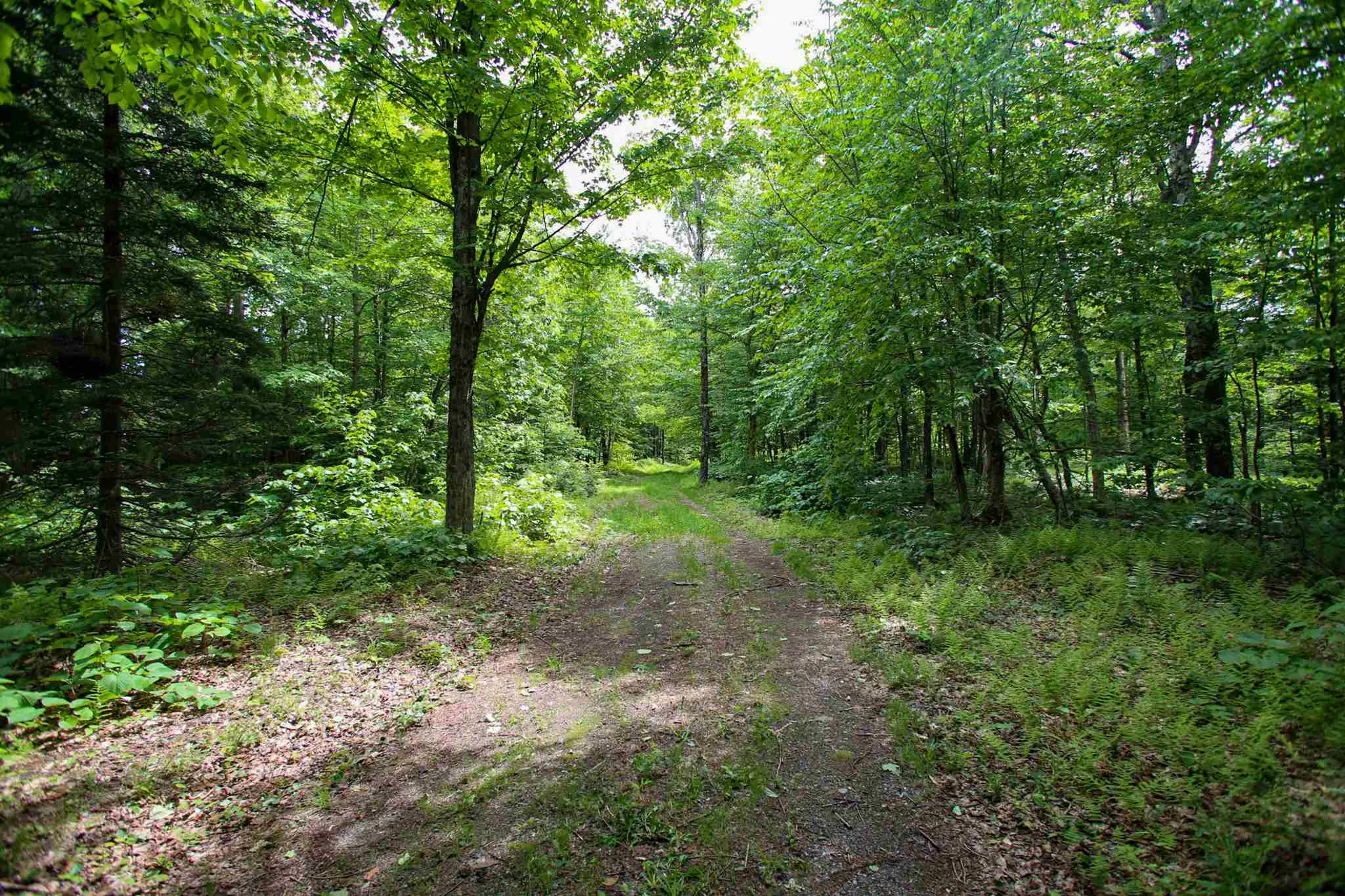 105 Mountain View Drive Jay VT 05859
