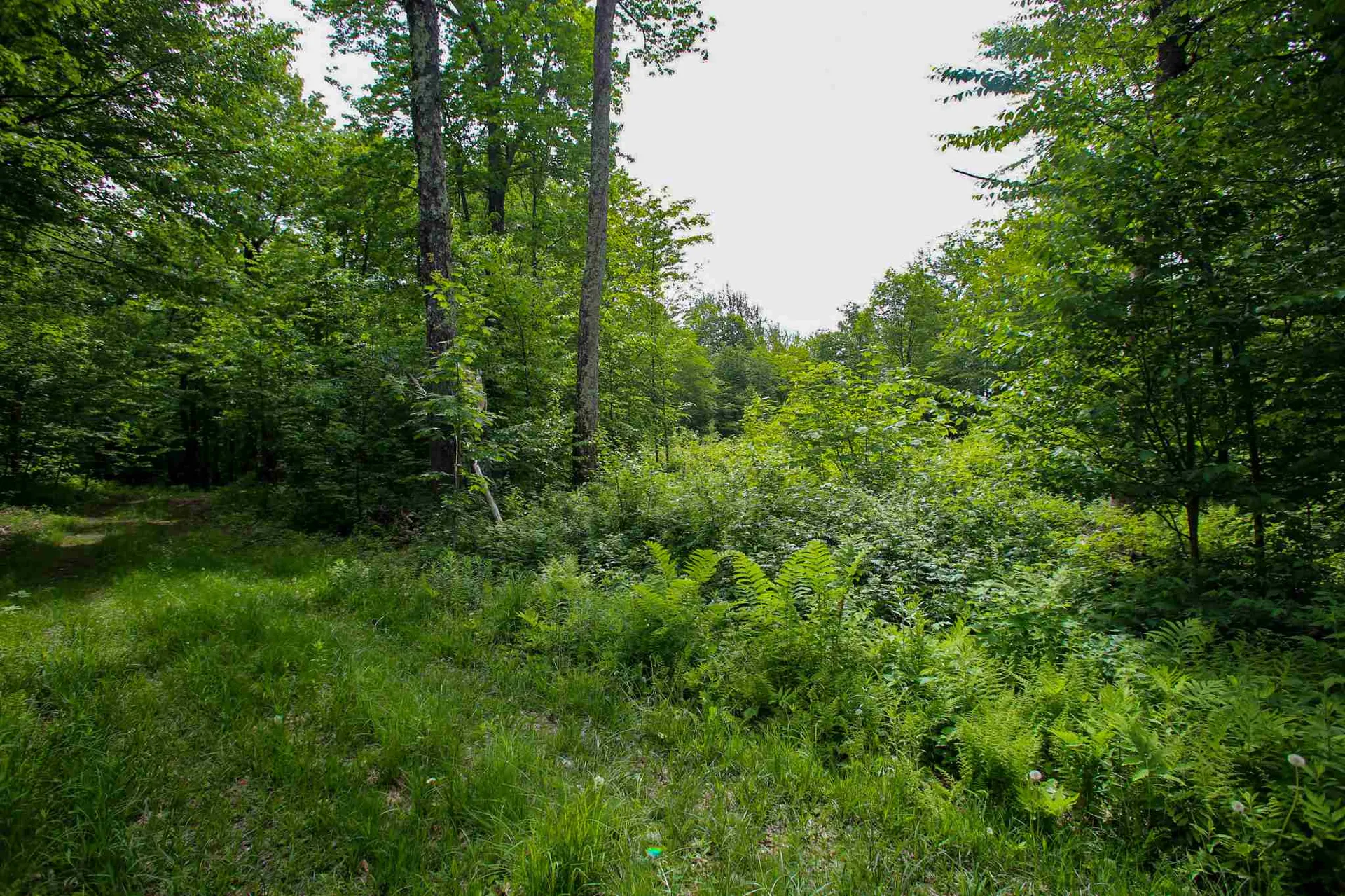 105 Mountain View Drive Jay VT 05859